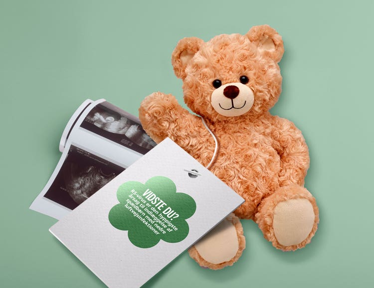 Bamse med scanningsbillede og info om RS-virus